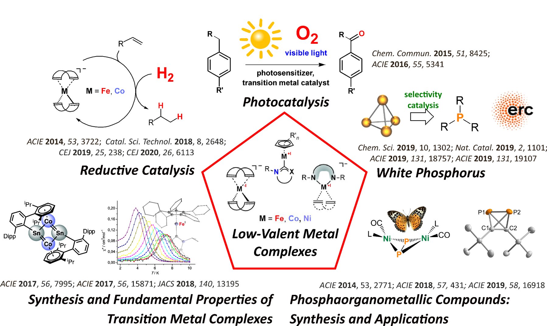 Research Topics Wolf Group Phosphorus functionalization Photocatalysis Transition Metalates