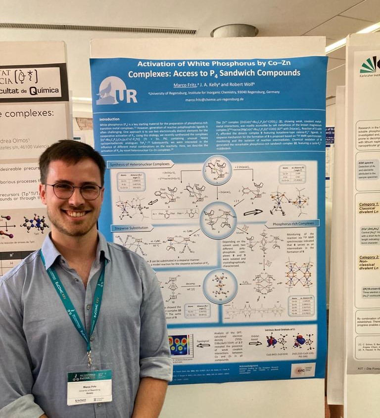 Wolf Group Research Publications Diary News Inorganic Chemistry Phosphorus functionalization transition metalates photocatalysis