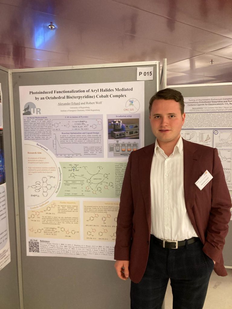 Wolf Group Research Publications Diary News Inorganic Chemistry Phosphorus functionalization transition metalates photocatalysis