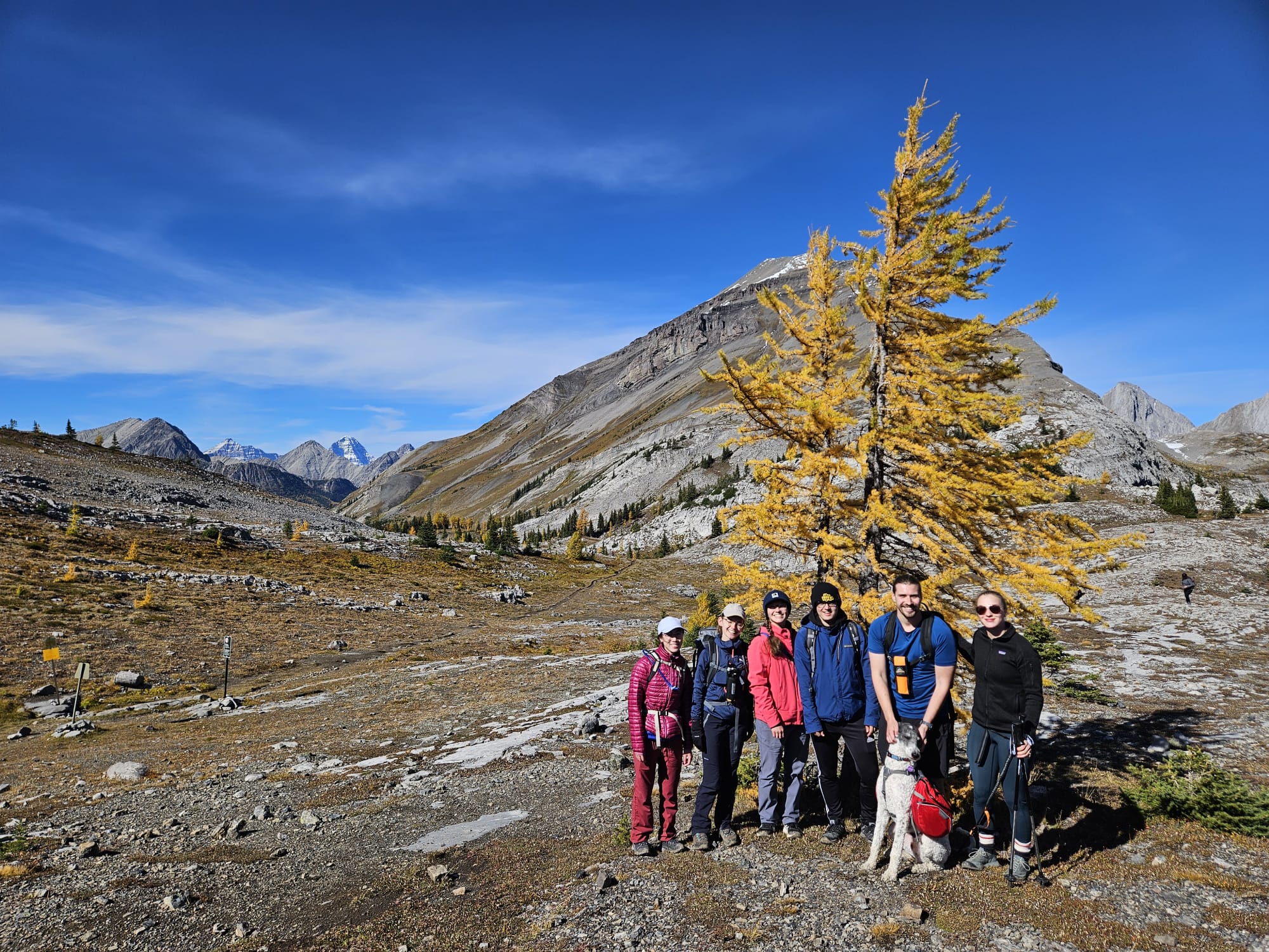 Wolf Group Research Publications Diary News Inorganic Chemistry Phosphorus functionalization transition metalates photocatalysis