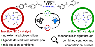 Wolf Group Research Publications Diary News Inorganic Chemistry Phosphorus functionalization transition metalates photocatalysis