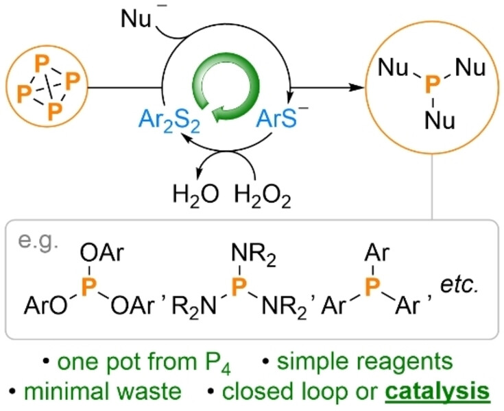 Wolf Group Research Publications Diary News Inorganic Chemistry Phosphorus functionalization transition metalates photocatalysis