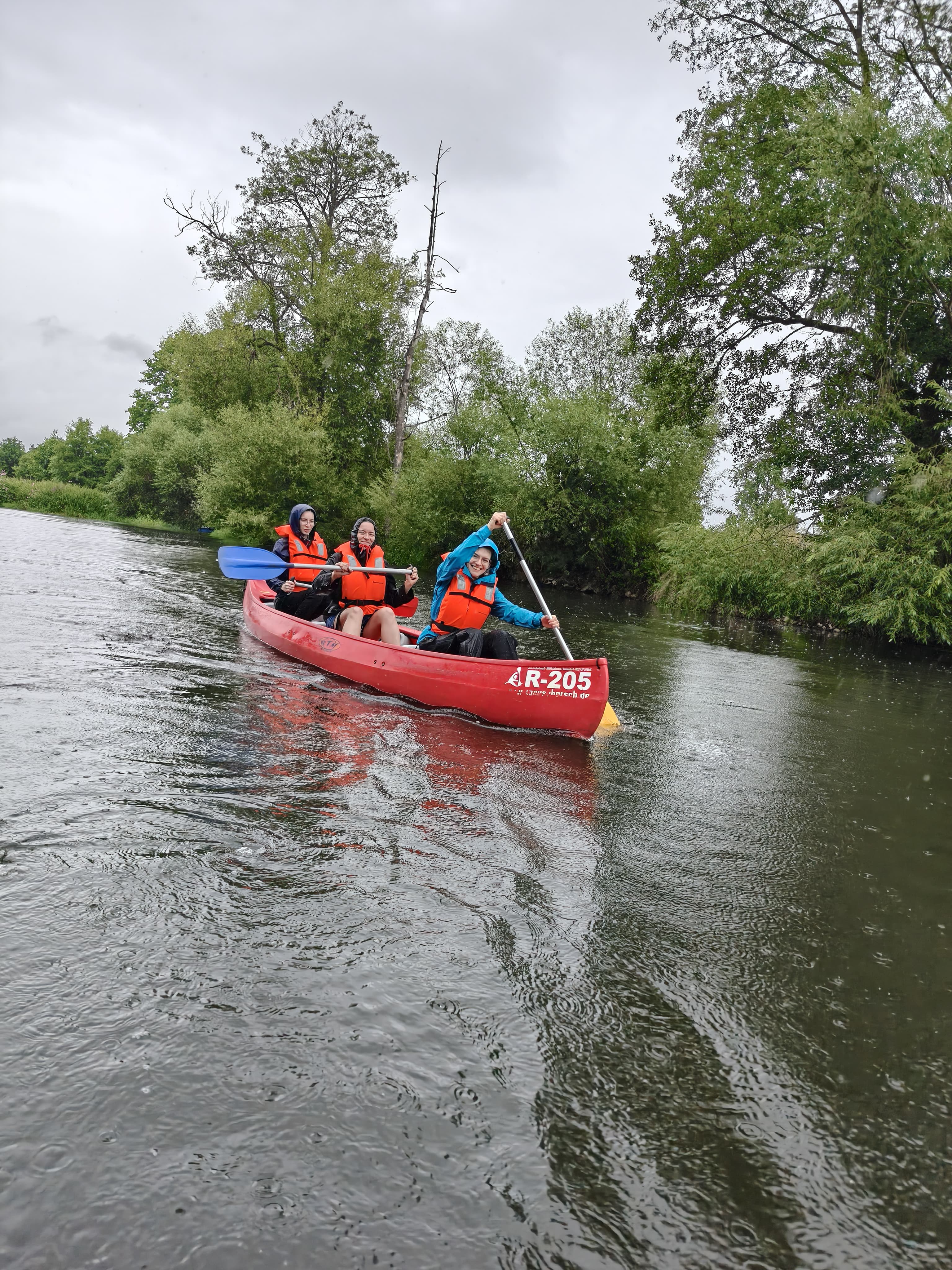 Wolf Group News Publication Chemistry Robert Wolf Universität University Regensburg