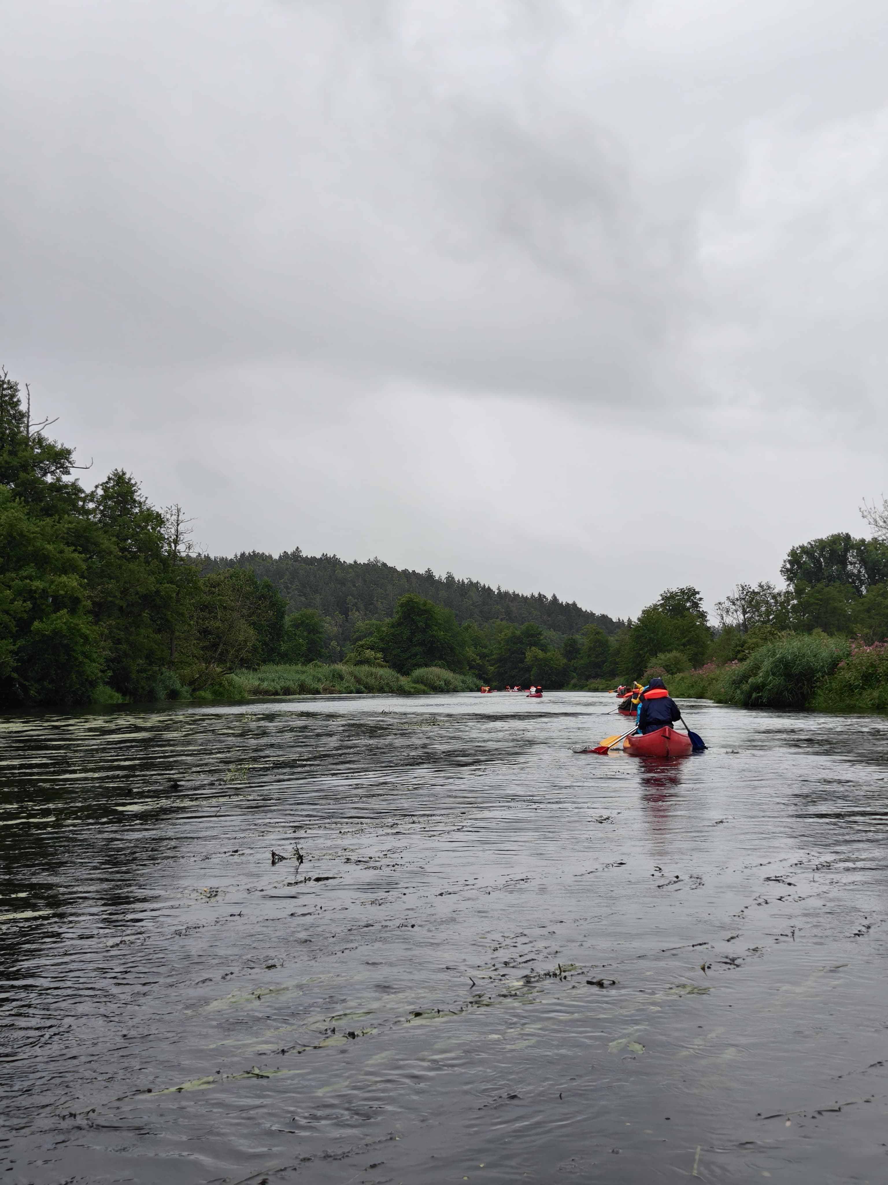 Wolf Group News Publication Chemistry Robert Wolf Universität University Regensburg