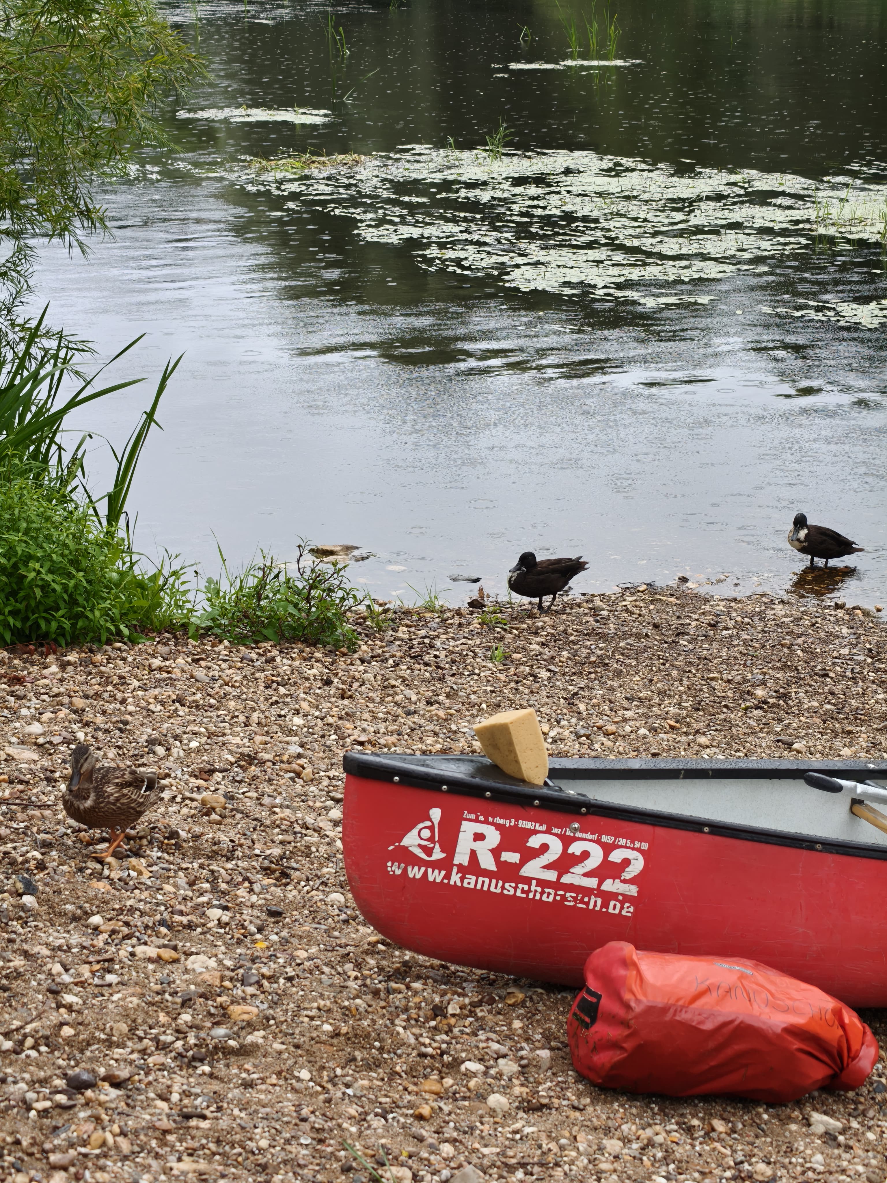 Wolf Group News Publication Chemistry Robert Wolf Universität University Regensburg